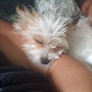 Meet your Posher, Sherry